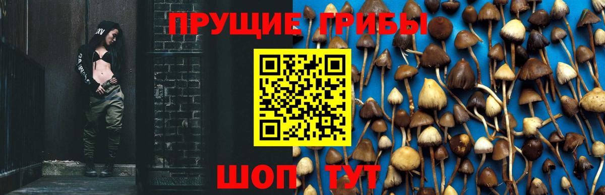 Галлюциногенные грибы Magic Shrooms Таганрог