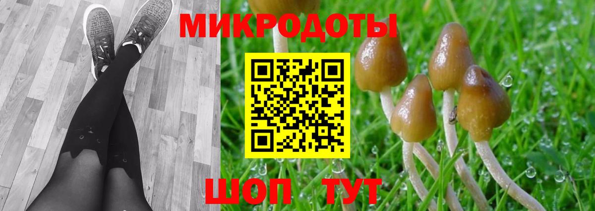 Таганрог  Псилоцибиновые грибы MAGIC MUSHROOMS  Вход с VPN  Галлюциногенные грибы MAGIC MUSHROOMS 
